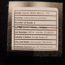 Load image into Gallery viewer, dougs nugs seeds
