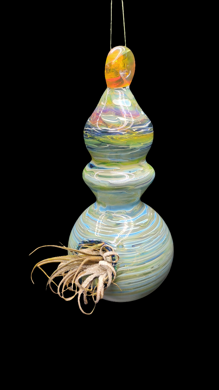 Handmade air plant holder with plant