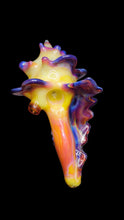 Load image into Gallery viewer, Shell Spoon 120 🐚
